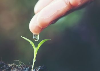 Web3 Projesi Airstack Güçlü Yatırımlar Aldı
