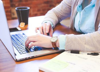 BullPerks Alternatiflerinin Sayısı Artıyor